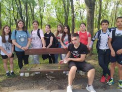 viber_slika_2024-06-12_20-25-16-374.jpg